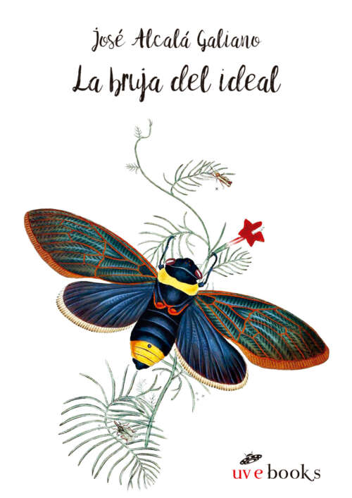 La bruja del ideal
