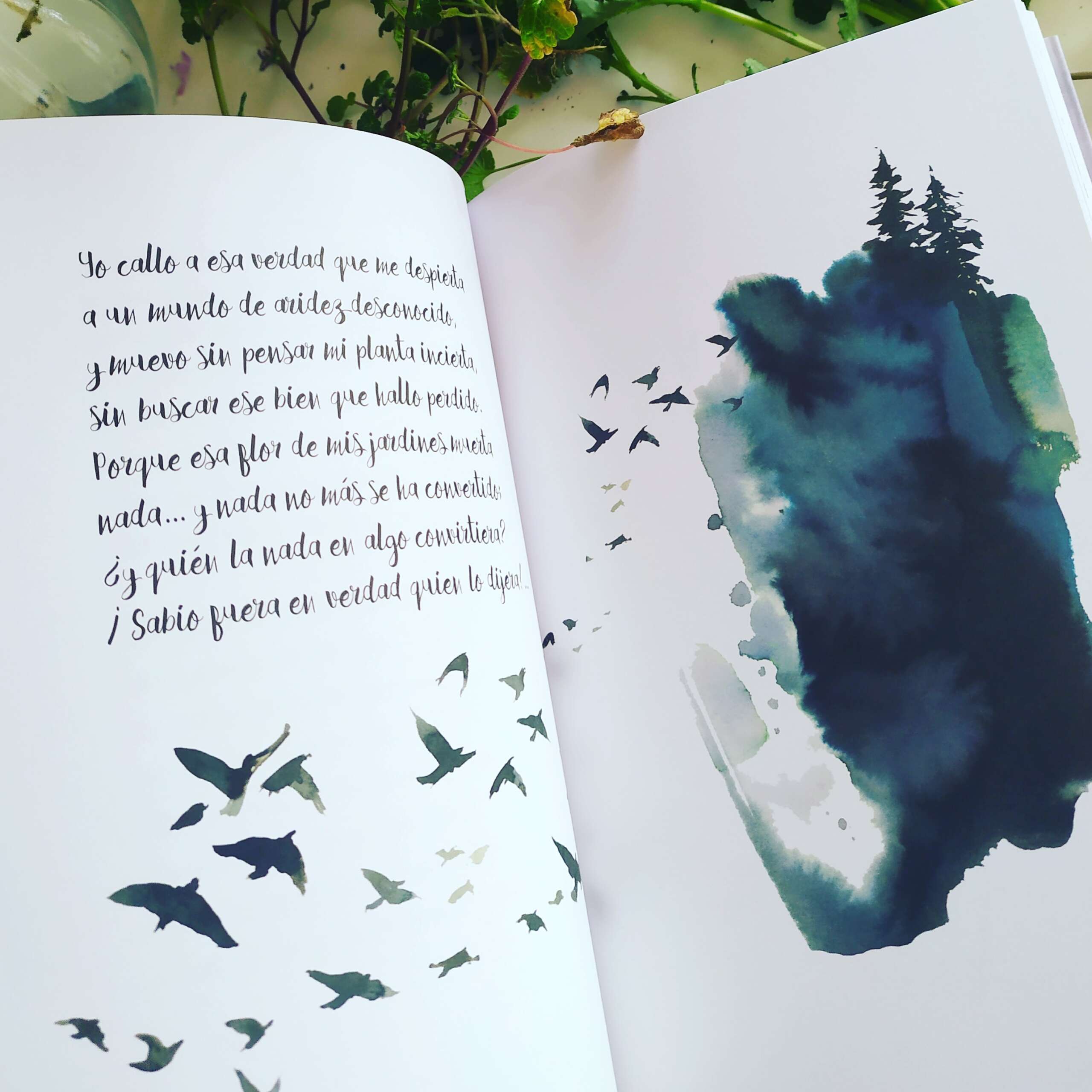 La Flor - Imagen 3