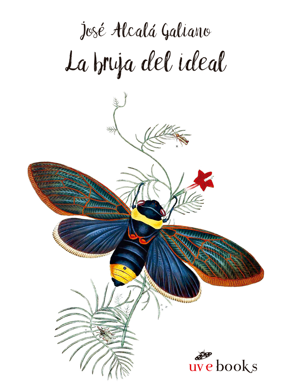 La bruja del ideal