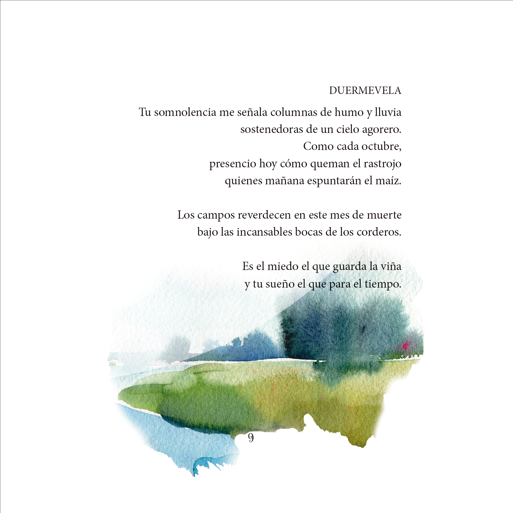 ¿De qué muere un buitre? - Imagen 3